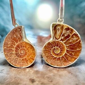 Fossilized Ammonite Sterling Silver Dangle Earrings